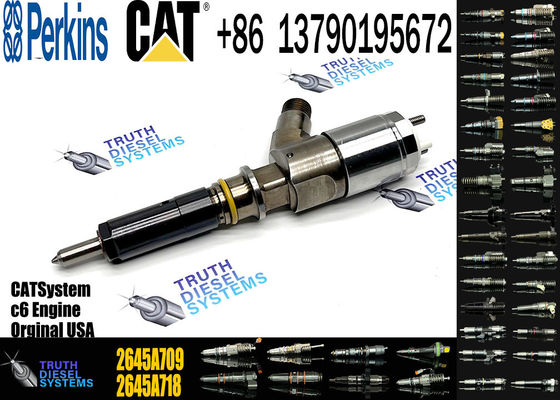 Fuel Injector 2645A743 2645A747 2645A709 for C6 C6.6 1106D-E66TA Engine