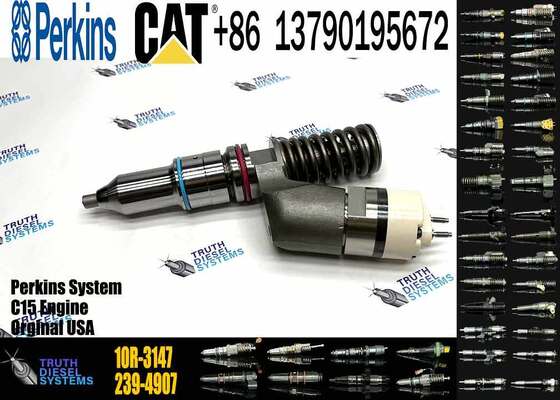 C13 Injector 10r-3147 249-0712 249-0713 2490712 for Fuel Injector
