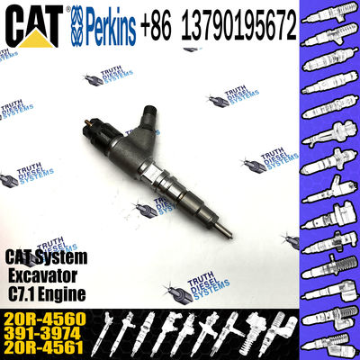 Competitively Fuel Injector 371-3974 20R-4560 3713974 20R4560 with more models for CAT