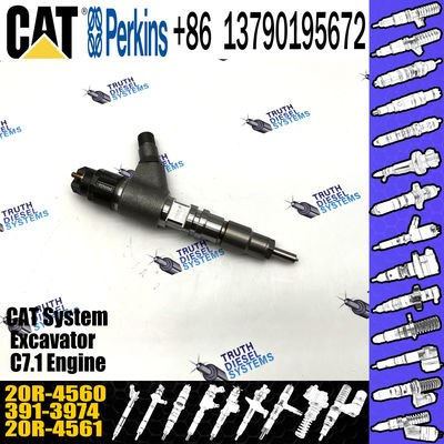 Competitively Fuel Injector 371-3974 20R-4560 3713974 20R4560 with more models for CAT