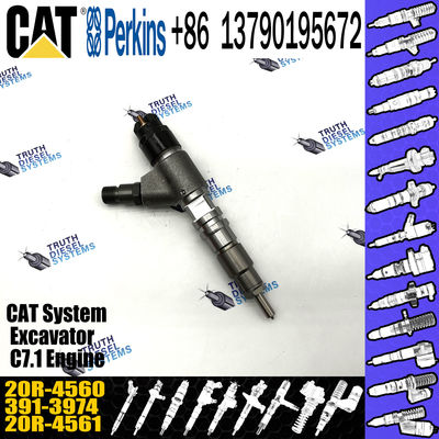 Competitively Fuel Injector 371-3974 20R-4560 3713974 20R4560 with more models for CAT