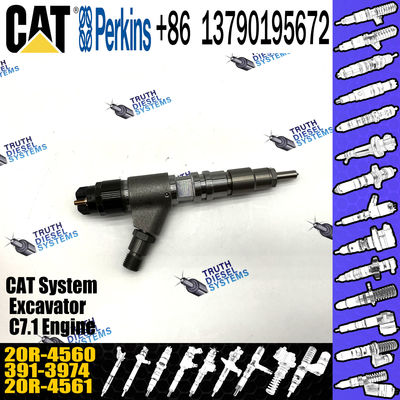 Competitively Fuel Injector 371-3974 20R-4560 3713974 20R4560 with more models for CAT