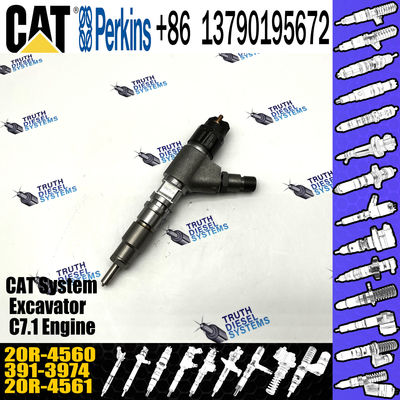 Competitively Fuel Injector 371-3974 20R-4560 3713974 20R4560 with more models for CAT