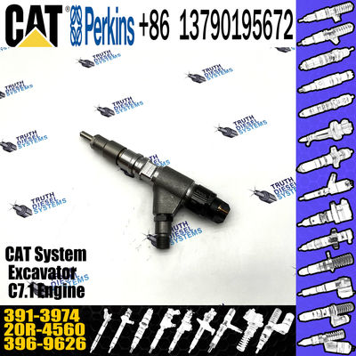 391-3974 diesel engine fuel injector 20R-4560 excavator fuel injector 0445120348 for CAT