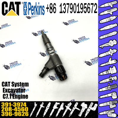 391-3974 diesel engine fuel injector 20R-4560 excavator fuel injector 0445120348 for CAT