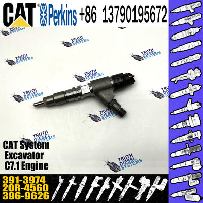 391-3974 diesel engine fuel injector 20R-4560 excavator fuel injector 0445120348 for CAT