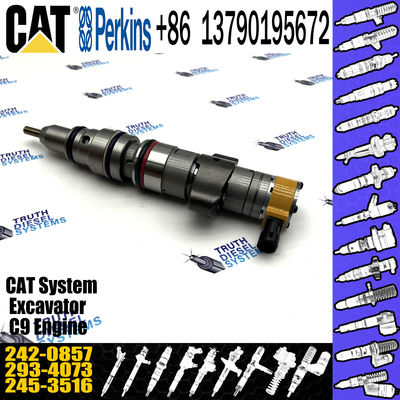 Common Rail Diesel Fuel Injector 242-0857 for Caterpillar HEUI CAT C9 Engine 2420857
