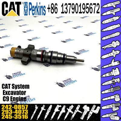 Common Rail Diesel Fuel Injector 242-0857 for Caterpillar HEUI CAT C9 Engine 2420857