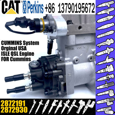 Diesel Engine Parts Fuel Injection PT Pump 2872930 4384497 2872191 For Cummins QSZ13
