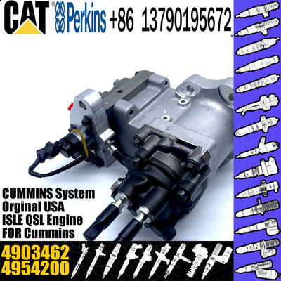 Excavator Parts ISC8.3 QSC8.3 Engine fuel injection pump P5594766 4903462 4954200 4921431 3973228