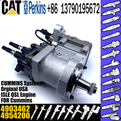 Excavator Parts ISC8.3 QSC8.3 Engine fuel injection pump P5594766 4903462 4954200 4921431 3973228