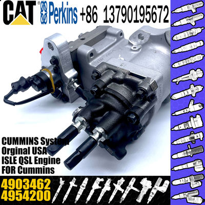 Excavator Parts ISC8.3 QSC8.3 Engine fuel injection pump P5594766 4903462 4954200 4921431 3973228