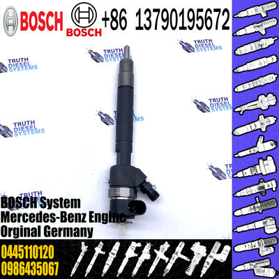 0445110201 Common Rail Fuel Injector 0445110202 0 445 110 202 Injector OE 0445110095 0445110096 0445110120