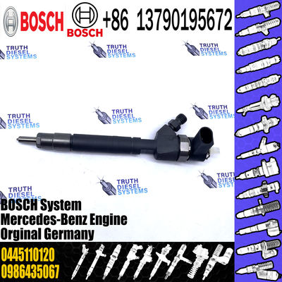 0445110201 Common Rail Fuel Injector 0445110202 0 445 110 202 Injector OE 0445110095 0445110096 0445110120
