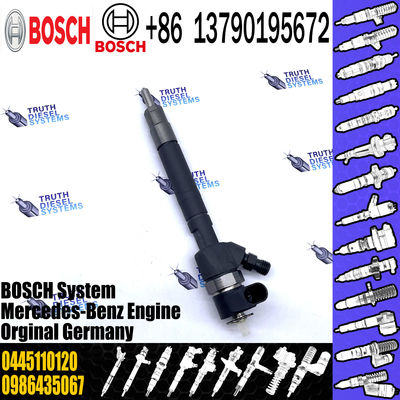 0445110201 Common Rail Fuel Injector 0445110202 0 445 110 202 Injector OE 0445110095 0445110096 0445110120