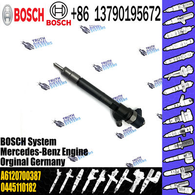 A6120700387 Engine Parts Fuel Injector A6120700387 Diesel Injector A6120700387
