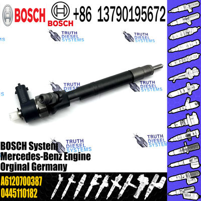 A6120700387 Engine Parts Fuel Injector A6120700387 Diesel Injector A6120700387