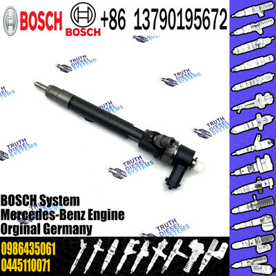 Common Rail Injector 0 445 110 199 0445110199 0445 110 199 Diesel Injection 0986435061 61107017870080