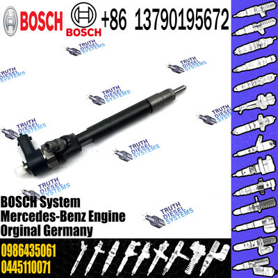 Common Rail Injector 0 445 110 199 0445110199 0445 110 199 Diesel Injection 0986435061 61107017870080
