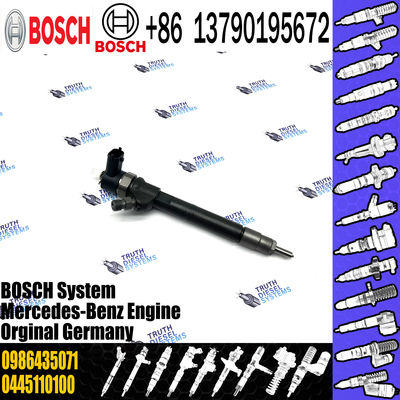 Common Rail Injector 0 445 110 012 0445 110 012 Fuel Injector 0445110012 0986435020 0986435071