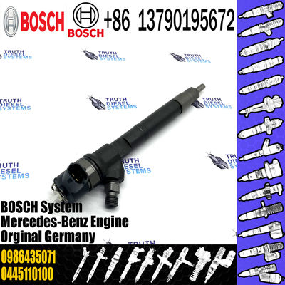 Common Rail Injector 0 445 110 012 0445 110 012 Fuel Injector 0445110012 0986435020 0986435071
