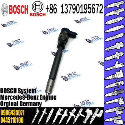 Common Rail Injector 0 445 110 012 0445 110 012 Fuel Injector 0445110012 0986435020 0986435071