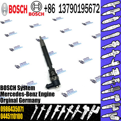Common Rail Injector 0 445 110 012 0445 110 012 Fuel Injector 0445110012 0986435020 0986435071