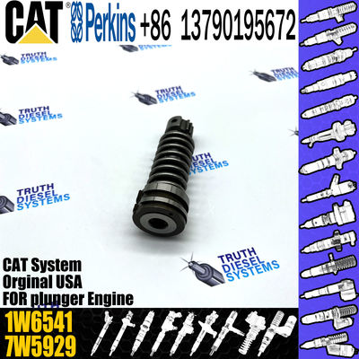Diesel Fuel Injection Pump Plunger 1w6541 4p9830 9n5797 6n7527 Plunger Barrel 7W5929 Element for CAT 3306