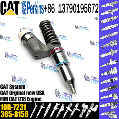 Common Rail Injector 276-8307 10R-9787 10R-7228 10R-2772 10R-7231 10R-7230 C-A-T Excavator C15 C18 Diesel Engine