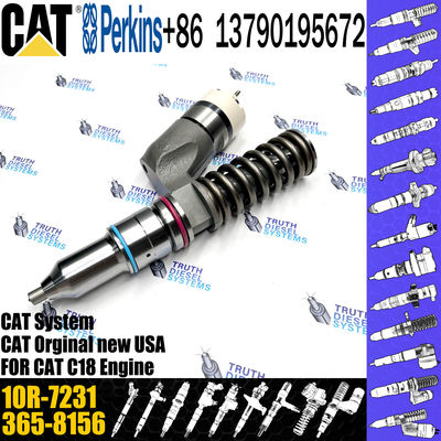 Common Rail Injector 276-8307 10R-9787 10R-7228 10R-2772 10R-7231 10R-7230 C-A-T Excavator C15 C18 Diesel Engine