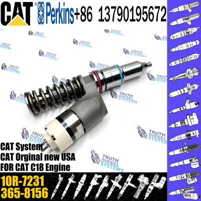 Common Rail Injector 276-8307 10R-9787 10R-7228 10R-2772 10R-7231 10R-7230 C-A-T Excavator C15 C18 Diesel Engine
