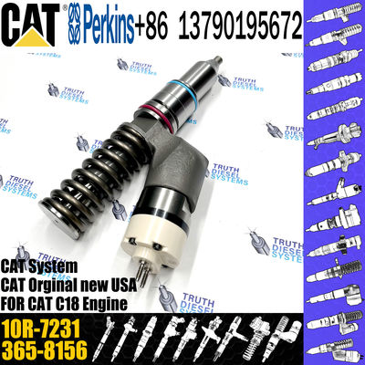 Common Rail Injector 276-8307 10R-9787 10R-7228 10R-2772 10R-7231 10R-7230 C-A-T Excavator C15 C18 Diesel Engine
