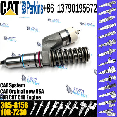 Common Rail Injector 10R-9787 365-8156 253-0618 10R-0724 295-9085 211-3028 374-0705 For Caterpillar C18 Engine Excavator
