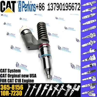 Common Rail Injector 10R-9787 365-8156 253-0618 10R-0724 295-9085 211-3028 374-0705 For Caterpillar C18 Engine Excavator