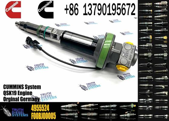 4964170 Diesel QSK19 Engine Common Rail Fuel Injector 4955524 2867149 4955527 2882079 4964173