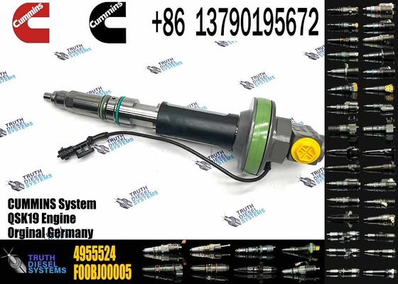 4964170 Diesel QSK19 Engine Common Rail Fuel Injector 4955524 2867149 4955527 2882079 4964173