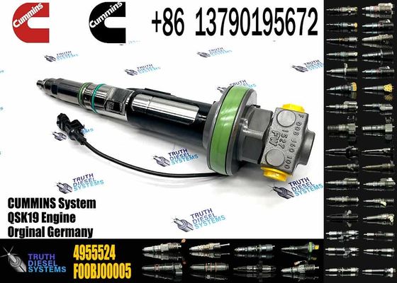 4964170 Diesel QSK19 Engine Common Rail Fuel Injector 4955524 2867149 4955527 2882079 4964173