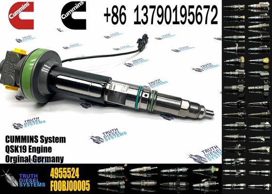4964170 Diesel QSK19 Engine Common Rail Fuel Injector 4955524 2867149 4955527 2882079 4964173