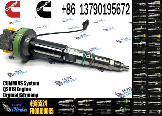 4964170 Diesel QSK19 Engine Common Rail Fuel Injector 4955524 2867149 4955527 2882079 4964173
