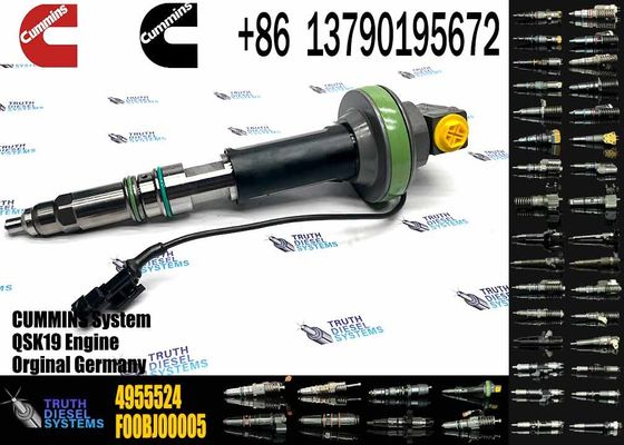 4964170 Diesel QSK19 Engine Common Rail Fuel Injector 4955524 2867149 4955527 2882079 4964173