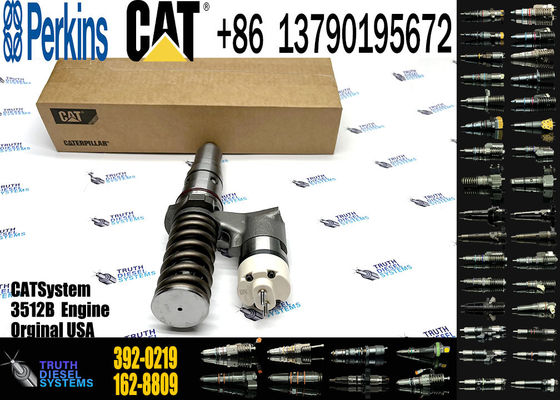 diesel Fuel injector 392-0219  246-1854 250-1311 250-1302 250-1304 250-1303 250-1306 250-1308 250-1312