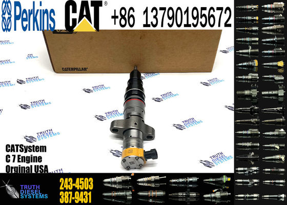 Common Rail Fuel Injector 243-4503  295-1412 20R-8064 328-2586 10R-4763 10R-7221 20R-1260 10R-4761 387-9431