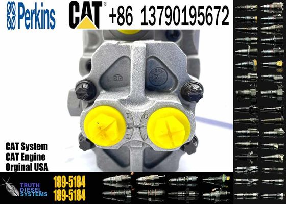 Diesel Fuel Injection Pump 189-5184 254-4357 for CAT C7 C9 Excavator E330D E336D E340DL
