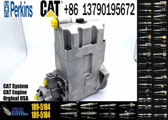 Diesel Fuel Injection Pump 189-5184 254-4357 for CAT C7 C9 Excavator E330D E336D E340DL