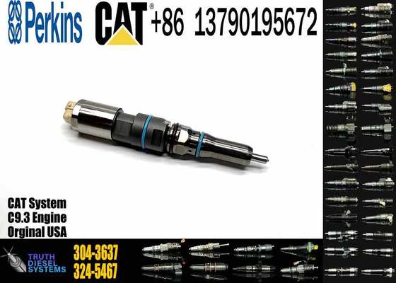 Common Rail Fuel Injector 304-3637 324-5467 342-5487