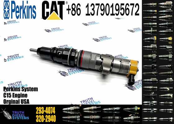 C9 HEUI Injector 258-8745 Diesel Fuel Injector 265-8106 293-4074 for Caterpillar Excavator C9 Engine Parts