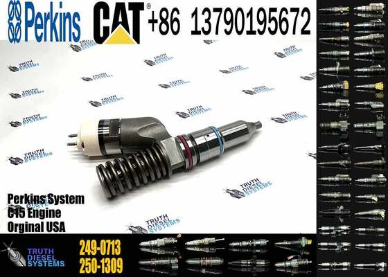 Excavator Engine Parts Fuel Injector 249-0707 249-0708 2490708 249-0712 249-0713 249-0746 250-1302 250-1303 250-1304 250-1306