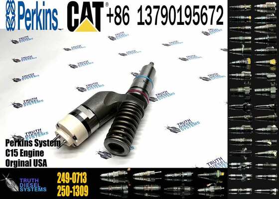 Excavator Engine Parts Fuel Injector 249-0707 249-0708 2490708 249-0712 249-0713 249-0746 250-1302 250-1303 250-1304 250-1306