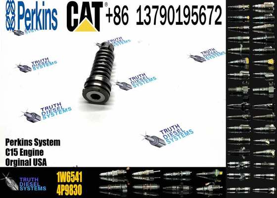 Construction Machinery Parts Fuel Injection Pump Plunger 4P9830 1W6541 7W5929 for Cat Engine 3304 3306 Plunger