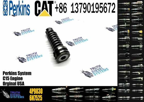 Construction Machinery Parts Fuel Injection Pump Plunger 4P9830 1W6541 7W5929 for Cat Engine 3304 3306 Plunger